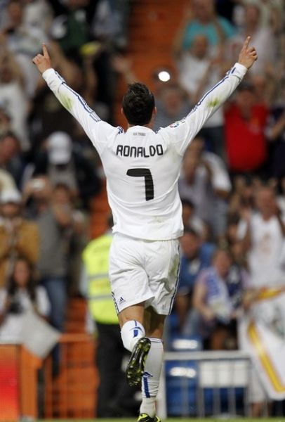 熊的年轻巨 熊的年轻巨