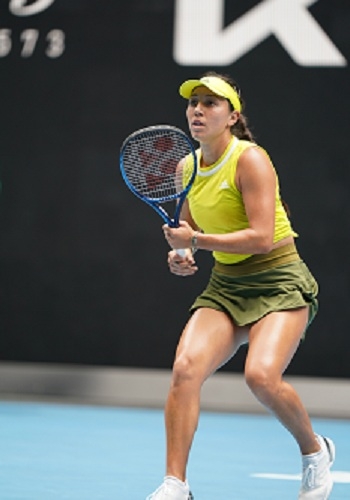 菜鸟口无遮 菜鸟口无遮